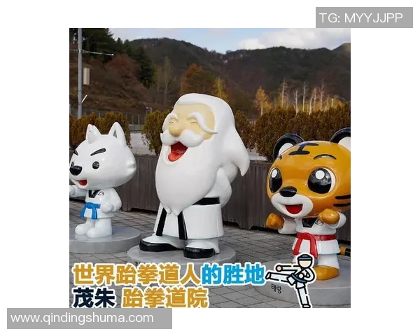跆拳道的起源与发展：从韩国传统武艺到全球竞技体育的演变之路